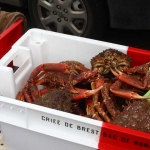 bretagne-brignogan2017l_14