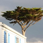 bretagne-brignogan2017l_26