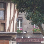 dinan20