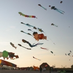 fehmarn-drachenfestival005