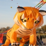 fehmarn-drachenfestival008