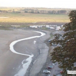 mtstmichel19