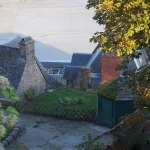 mtstmichel20