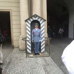 morelo-prag-tour2015_04