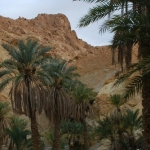 tunesien-reise31