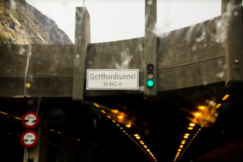 Einfahrt in den Gotthardtunnel – leicht getrübt von einem Schwarmüberfall auf der Autobahn. Er hat es wohl nicht überlebt