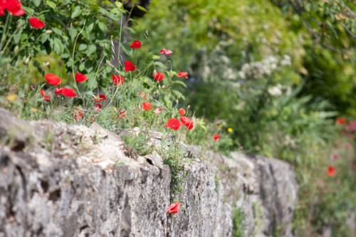 Montalcino