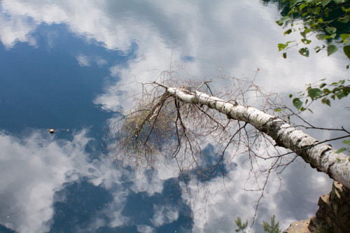 Blick in den See. Leider durfte ich mich nicht weiter über den Felsen hängen für die Fotos, ich wurde zurückgepfiffen. 