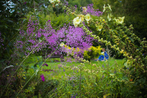 Chalice Well Garden