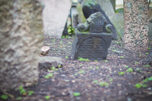 Jüdischer Friedhof Prag