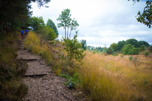 Hoge Kempen Hochplateau Wandern