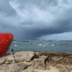 Erdbeere in der Hand vor Hafenpanorama, dunkle Wolken