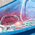 bunte Fischernetze in blauem Plastikboot